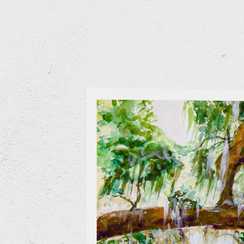 Audubon Park Live Oak Trees - Southern Nature of New Orleans