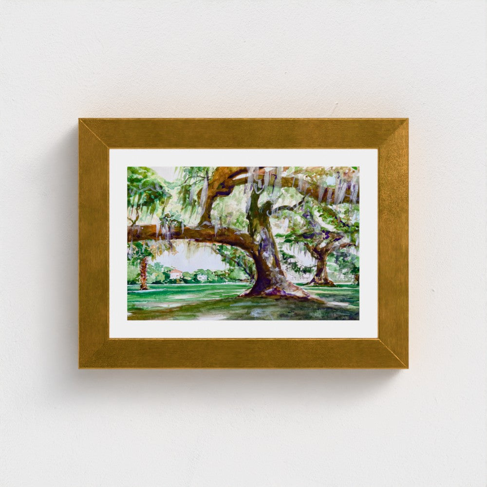 Audubon Park Live Oak Trees - Southern Nature of New Orleans