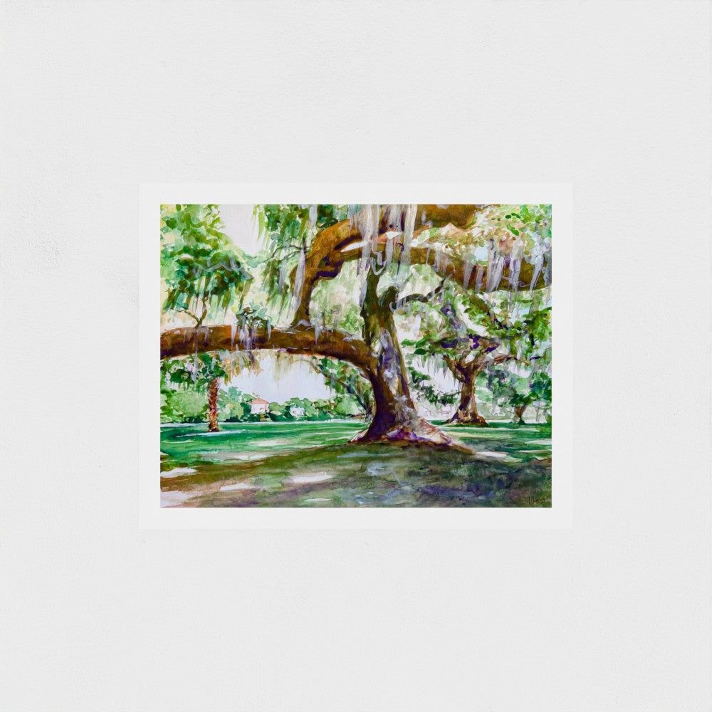 Audubon Park Live Oak Trees - Southern Nature of New Orleans