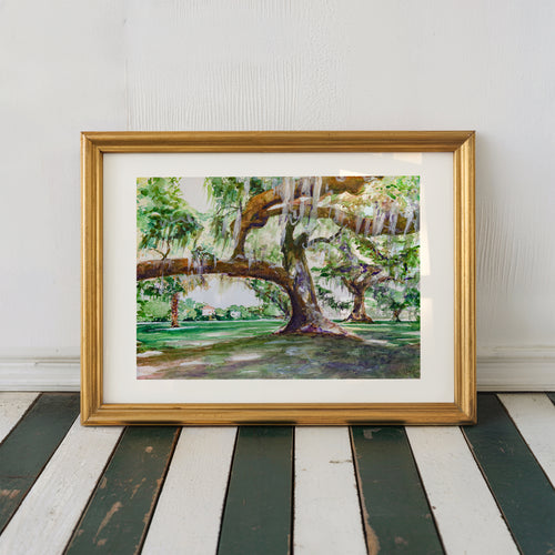 Audubon Park Live Oak Trees - Southern Nature of New Orleans