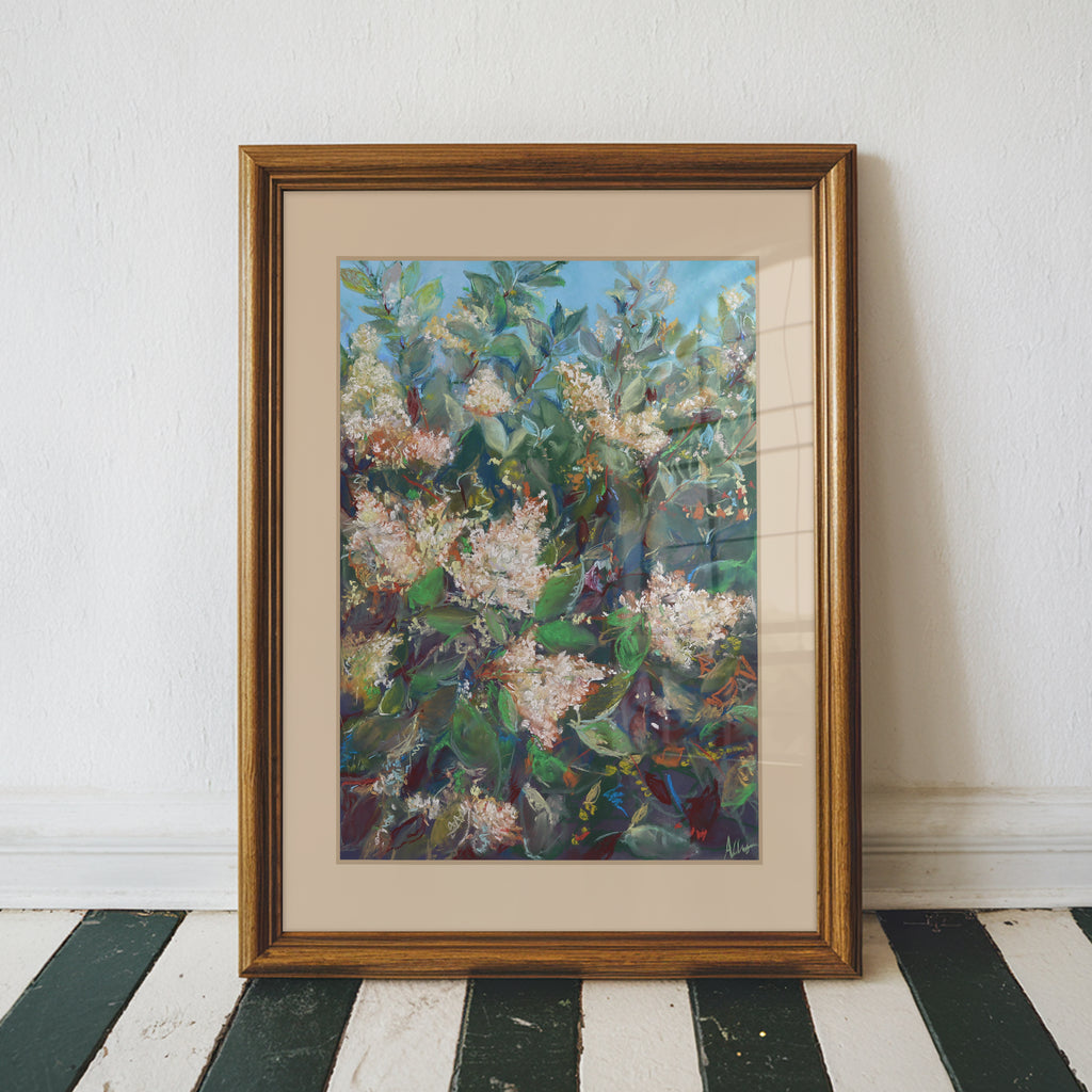 Louisiana Blossoms – White Crepe Myrtle Southern Florals Fine Art Print
