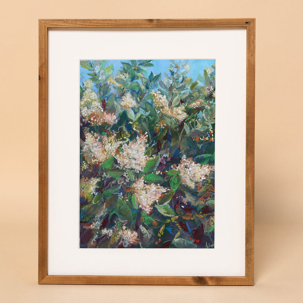 Louisiana Blossoms – White Crepe Myrtle Southern Florals Fine Art Print